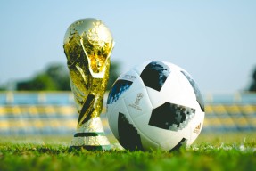 国际游泳锦标赛：接力换人与整体节奏管理决定奖牌归属，国际游泳比赛发令
