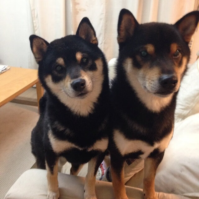 西甲精彩瞬间:突破、助攻、救球不停歇!,西甲 助攻榜